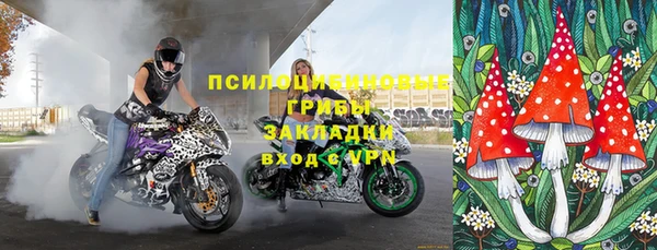 дурь Майский