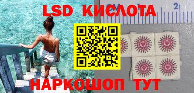 spice Кингисепп