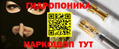 spice Кингисепп