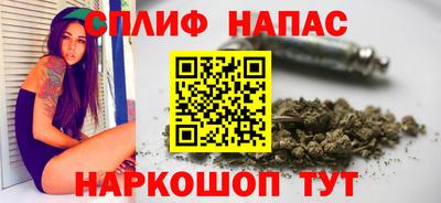 spice Кингисепп
