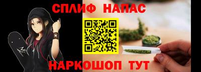 сатива Кинель