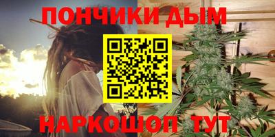 spice Кингисепп