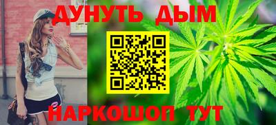 spice Кингисепп