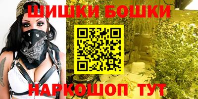 spice Кингисепп