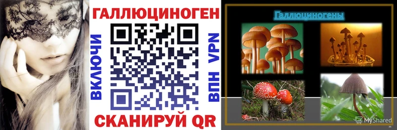 сколько стоит  Мурманск  Псилоцибиновые грибы Magic Shrooms 