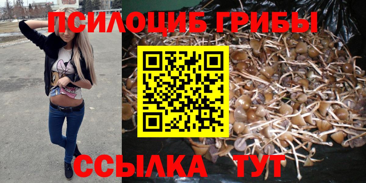 Галлюциногенные грибы MAGIC MUSHROOMS Мурманск